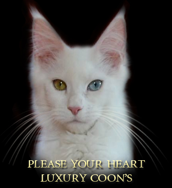 please-your-heart